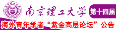 大鸡巴插逼影片南京理工大学第十四届海外青年学者紫金论坛诚邀海内外英才！